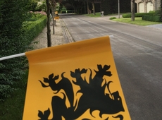 leeuwtjes