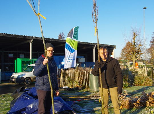 Boom zoekt tuin Boom zoekt tuin