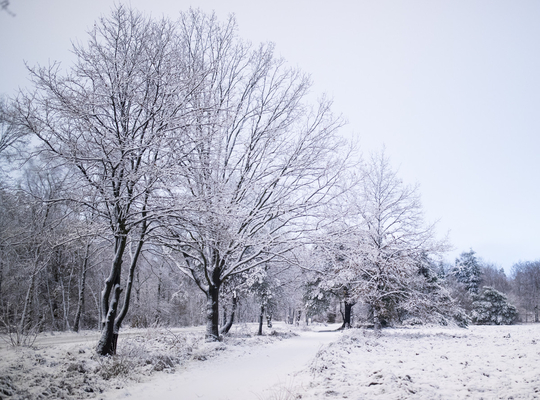 Sneeuw op 11 december 2017 - Damwegel opengebroken